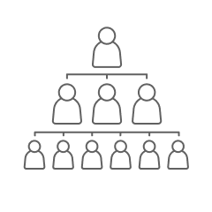 Examine Company Structure And Team Dynamics