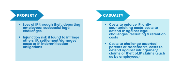 Ip Risk